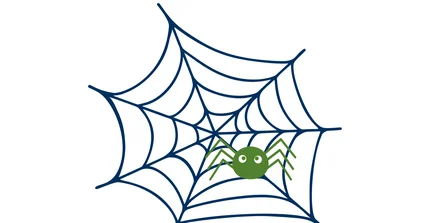 Grüne Spinne im Spinnennetz.