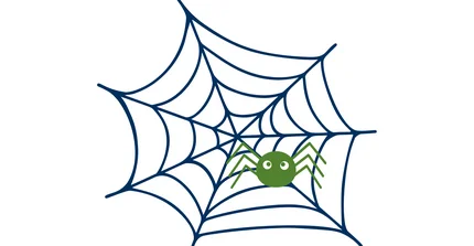 Grüne Spinne im Spinnennetz.
