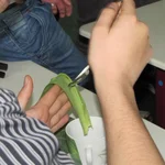 Versuche im Workshop "Bionik - Spider Sports"