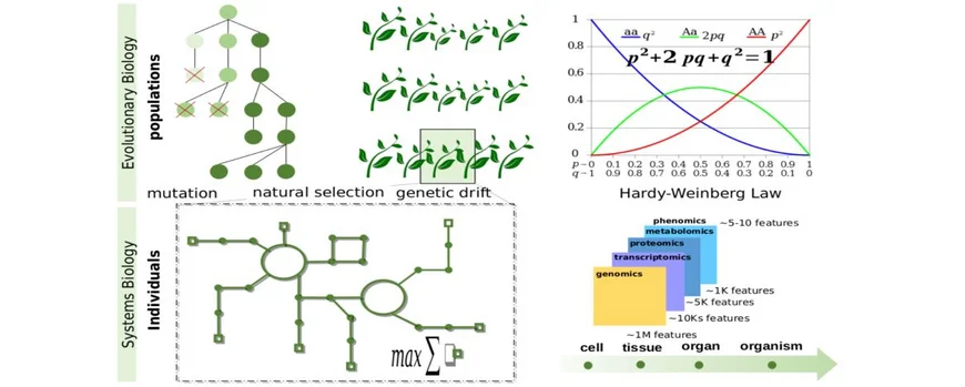 Figure of the ESB (Evolutionary Systems Biology)