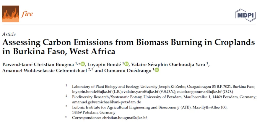 Header of publication (title, authors and affiliations)