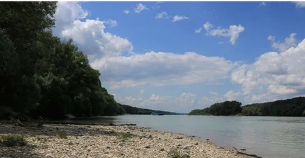 Gravel banks of the Danube in the Danube-floodplain National Park