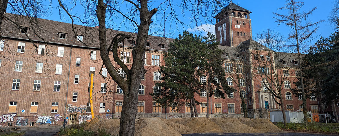 Der alte Landtag auf dem Brauhausberg. Bild im Winter mit kahlen Bäumen im Vordergrund, sowie Sandbergen von Baumaßnahmen. - 
