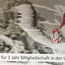 kleine Weihnachtsmannfigur auf einem vereisten Ast