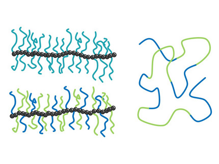 Polymer Architectures