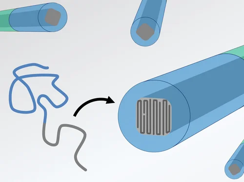 Supramolecular Polymers