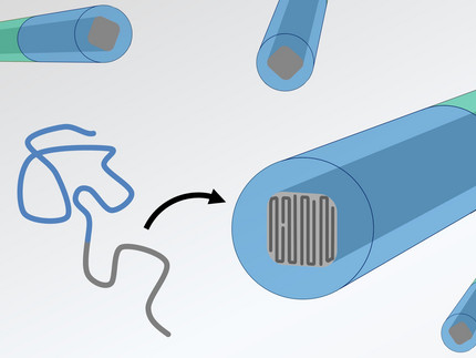 Supramolecular Polymers