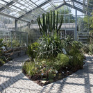 Sukkulentenhaus im Botanischen Garten