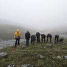Vegetationsaufnahme eines Polsterseggenrasens während eines Geländepraktikums in den Tiroler Alpen (Modul Geobotanik)