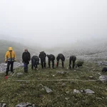 Vegetationsaufnahme eines Polsterseggenrasens während eines Geländepraktikums in den Tiroler Alpen (Modul Geobotanik)
