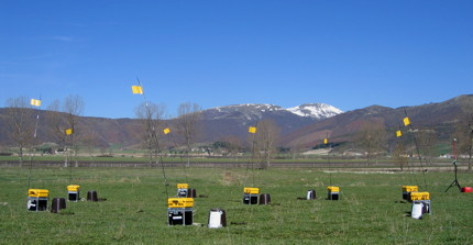 Seismologische Arraymessung in einem intramontan Becken des Apennin