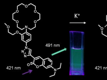 chemische Formel des Fluoroionophors mit Darstellung der Anregung und Abbildung der Lichtemission