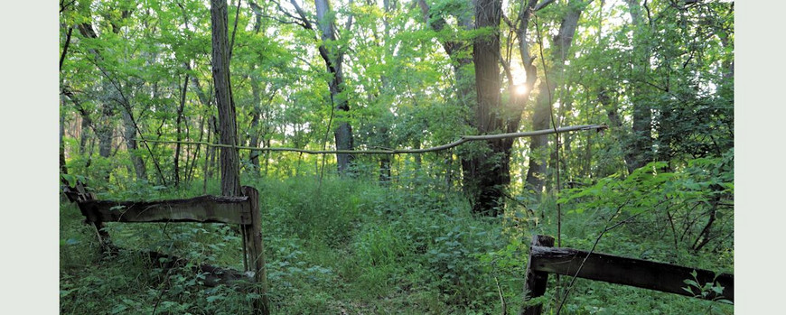 Einfriedung des Jüdischen Friedhofs in Lipianyne