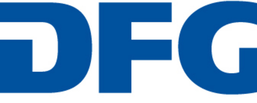 DFG Logo