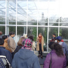 Showing the Warm Greenhouse