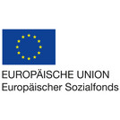 EU Logo