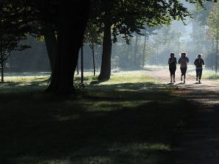 Jogger im Park