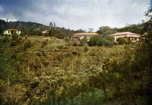 Experimental Garden Amani