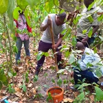 Measuring greenhouse gas emissions in the field in Ghana