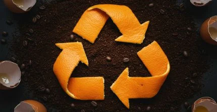 Orangenschale