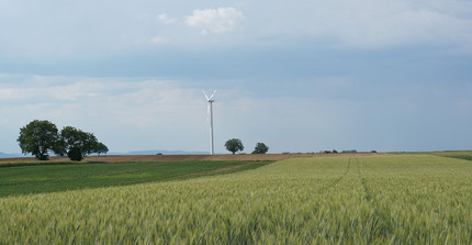 Kornfeld mit Windkraftrad