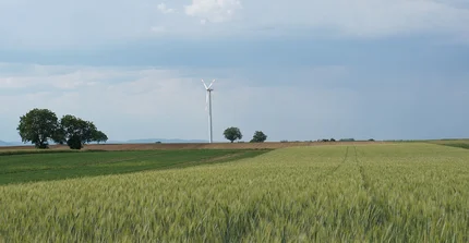 Kornfeld mit Windkraftrad