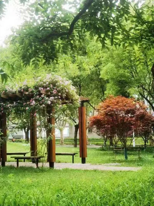 Campus