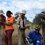 the team at work