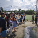 Besichtigung der Landsenkungsobservatoriumseinrichtung und der Grundwassermessstellen in Ca Mau