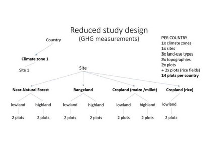 Figure 3b