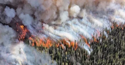 Wildfires (Mike Lewelling, National Park Service)