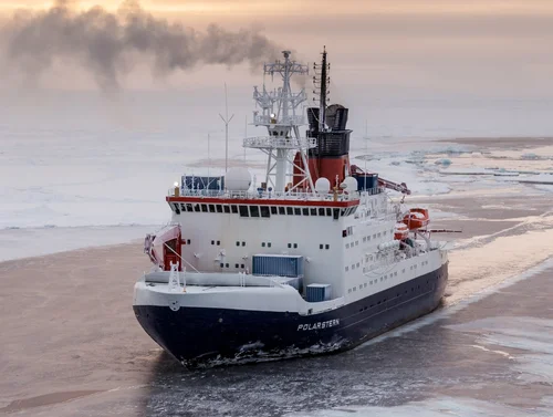 Das Forschungsschiff "Polarstern", ein weiß-blaues Schiff, fährt durch ein mit Seeeis überdecktes Meer.