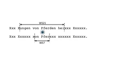 Abbildung der Blickposition (Moving-Window)