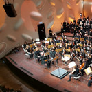 Chor und Orchester der Universität Potsdam