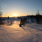 The view from the research station