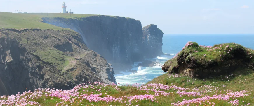 Bild von irischer Landschaft