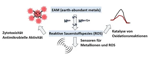 Eine Abbildung von den Earth-abundant metals (EAM)