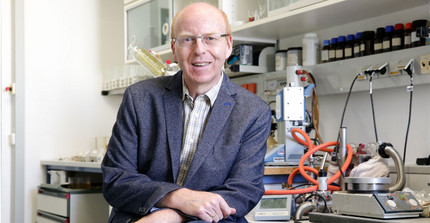 Prof. Dr. Bernd Schmidt | Foto: Sandra Scholz