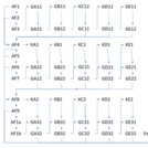 Illustration des Ablaufs eines Surveys von AF1 bis GE32