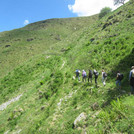 Reisegruppe beim Wandeln entlang grüner Wiesen und Hügel. Foto: Schröder