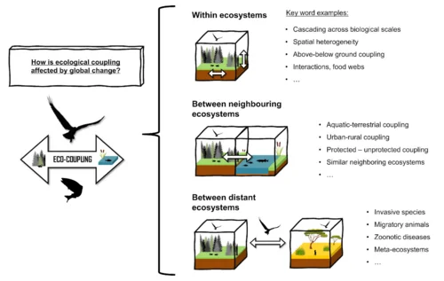 Indiviudal-based Global Change Ecology