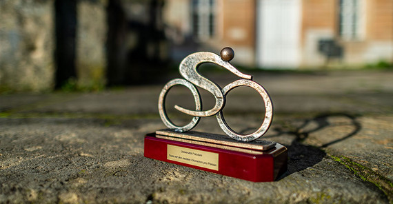 Der Pokal für das Gewinnerteam beim Stadtradeln | Foto: Tobias Hopfgarten