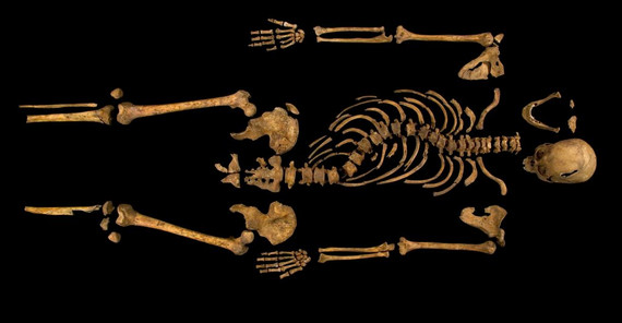 Das Skelett von Richard III. Foto: University of Leicester.