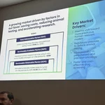 Presentation 2