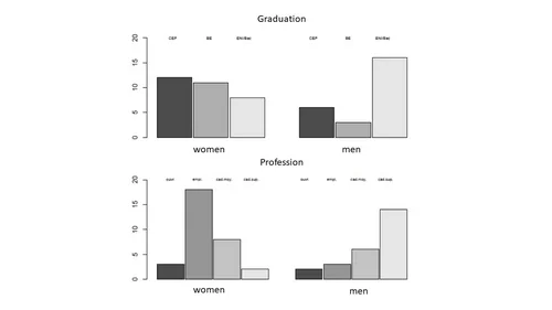 Participants by education degree and profession (LangAge 2005)