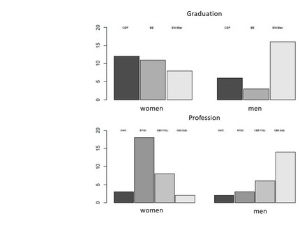 Participants by education degree and profession (LangAge 2005)