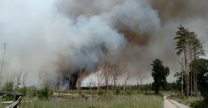 Wildfire in Treuenbrietzen, 2022. Thick smoke rises above pine trees. In the distance, embers and flames can be seen on the ground.