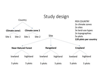 Figure 3a