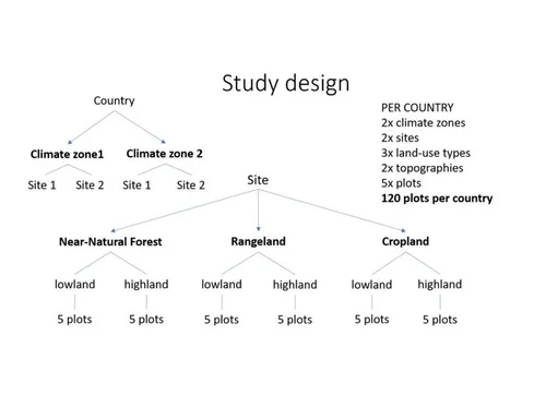 Figure 3a