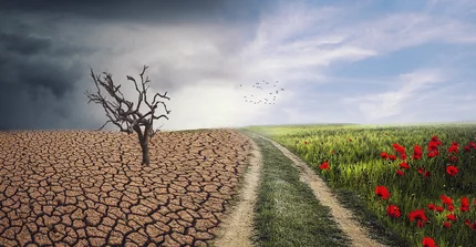 Climate Crisis
